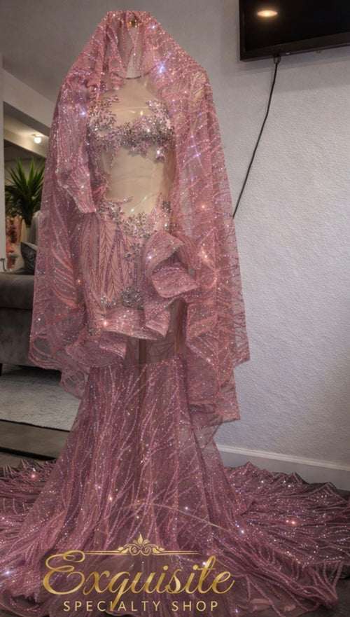 Blush Sculpted Illusion Mermaid Gown – Xs/small